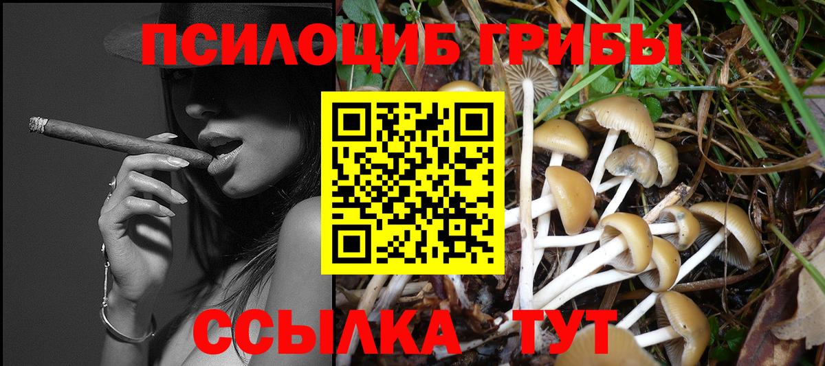 Галлюциногенные грибы мухоморы Альметьевск