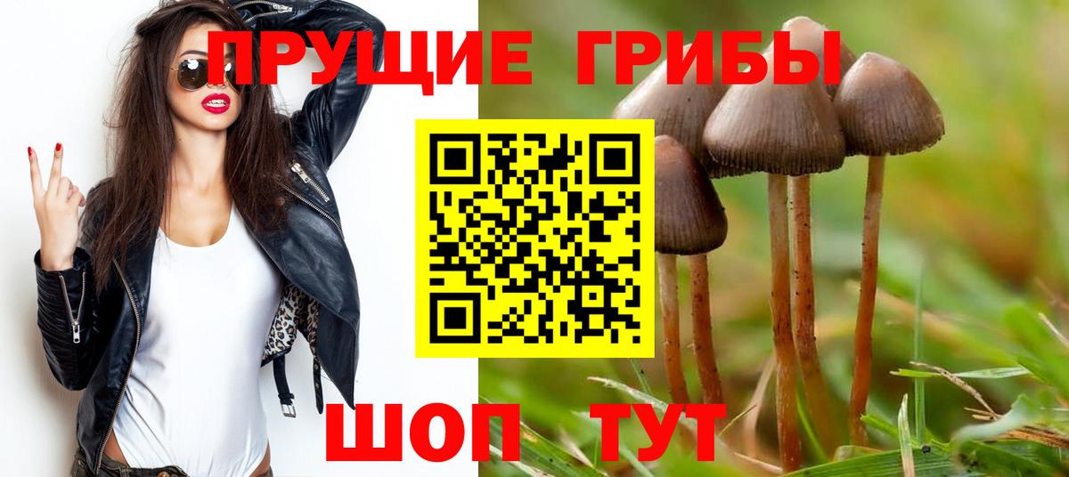 Альметьевск  Галлюциногенные грибы Cubensis  Вход с VPN 